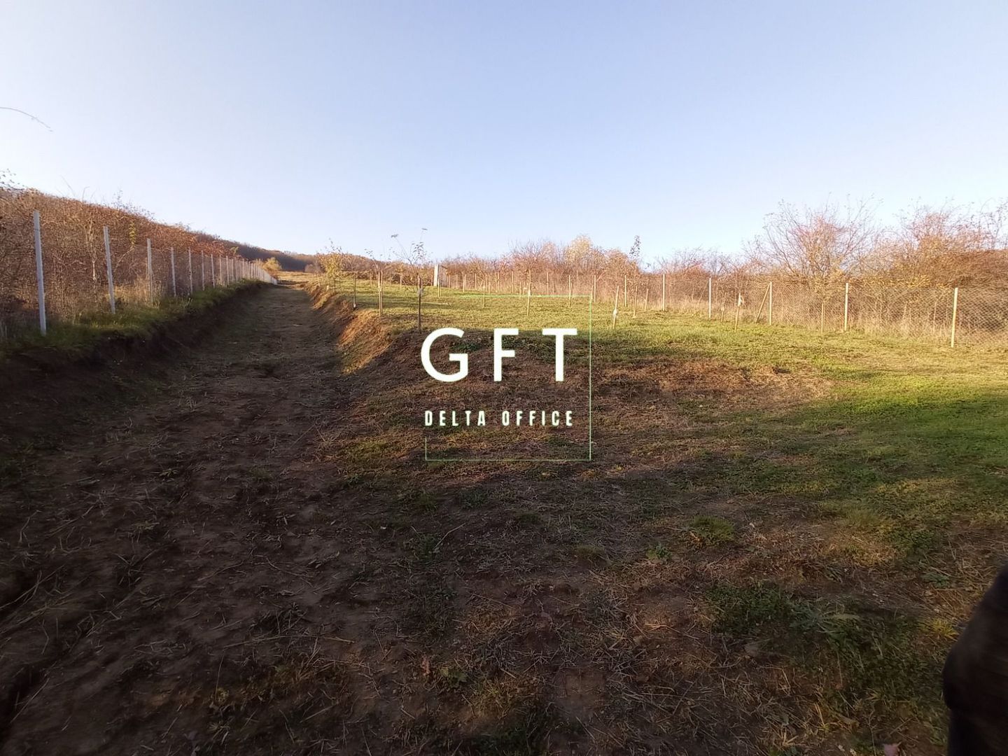 Teren intravilan 2700 mp-ideal case/investitie-Viisoara - Poză 2