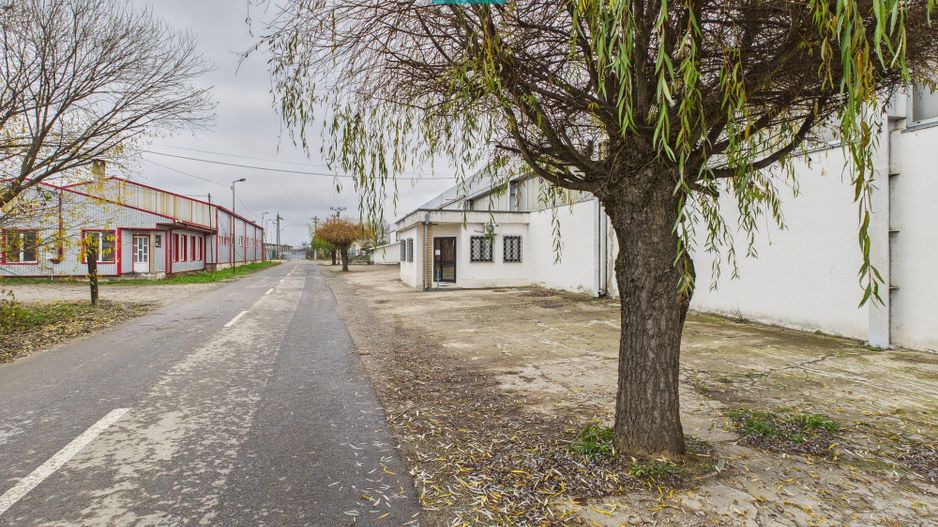 Hală cu teren intravilan de 3500 mp, în Sebiș Arad - Poză 17