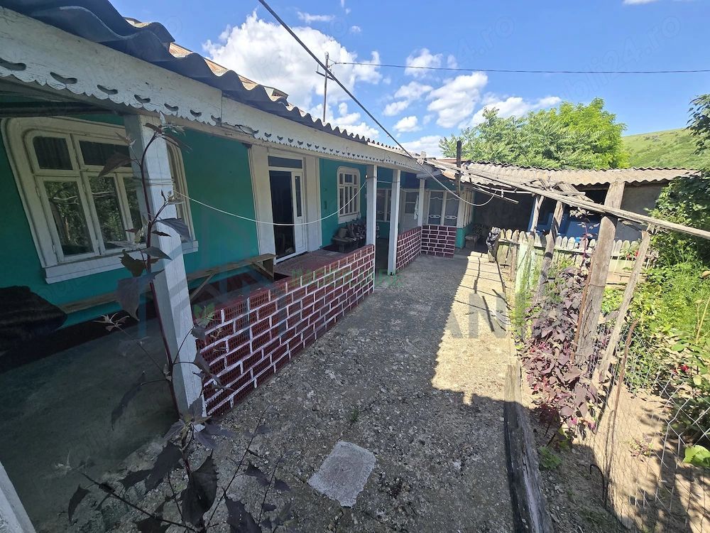 Ansamblu rezidențial cu două case și teren de 1,4 hectare, Bohotin - Poză 4