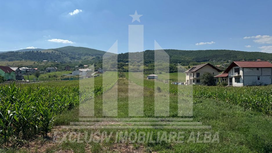 Teren intravilan | De vanzare | 5100 mp | 15 ml | Micesti - Poză 2