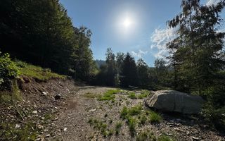 18000 mp de natura pura ,Lupeni, langa Straja - Poză 17
