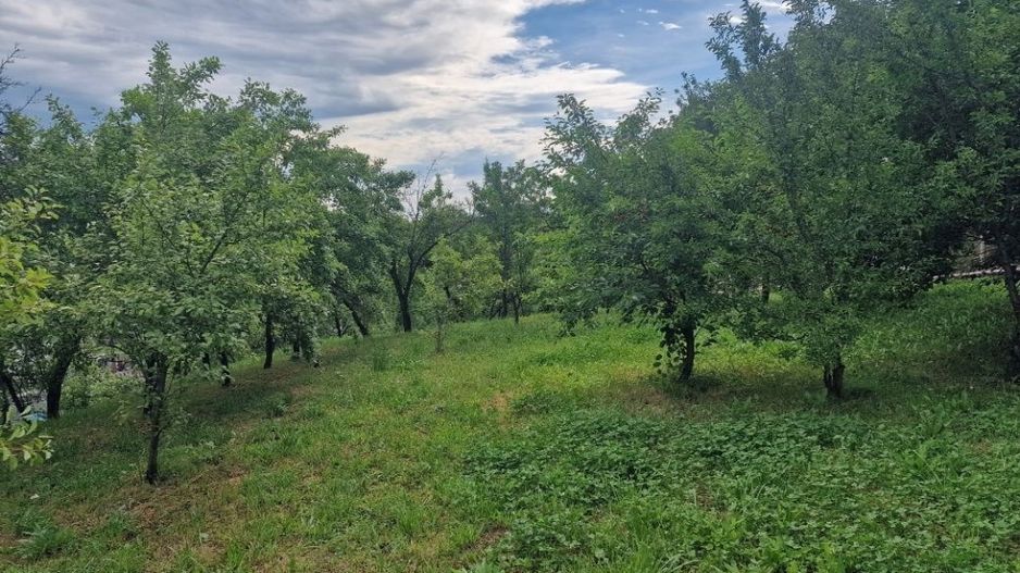 Teren intravilan 1400mp-Albota! - Poză 2