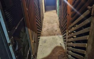 Apartament 2 camere | Parter | zona Bariera Postei-Bucov - Poză 16