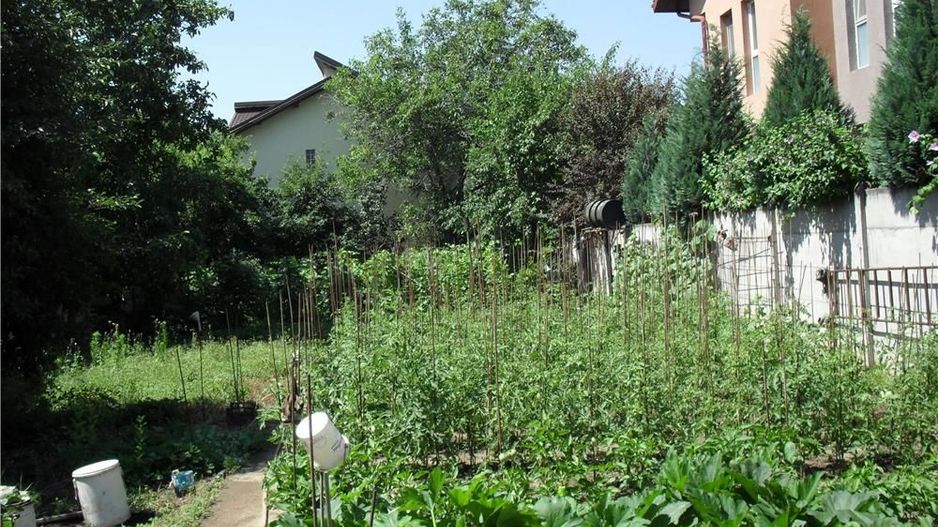 Teren si hala mica industriala  zona Fundeni-Colentina- Doboesti - Poză 8