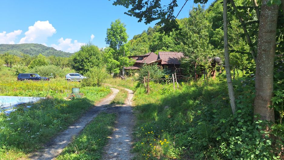 VANZARE ANSAMBLU CASUTE BRADULET ARGES - Poză 15