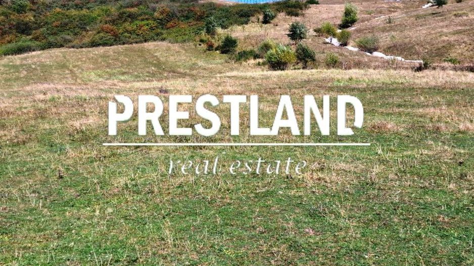 Teren extravilan situat în Cristian - Poză 3