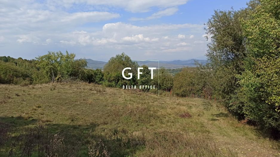 Teren  42,200 mp (4,22 hectare)-Parcelabil-investitie-Valea Jelnei - Poză 1