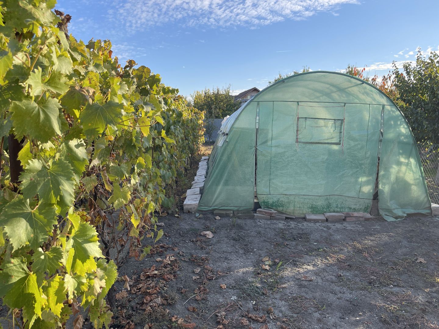 Teren ideal pentru constructie noua-800 mp cu front 22 ml - Poză 4