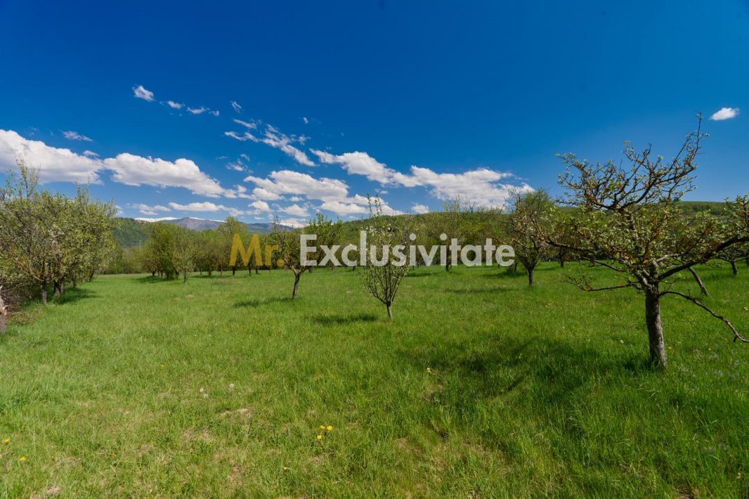 Casa Valea Mare Pravat (Campulung-Arges ) - farmec interbelic - Poză 3
