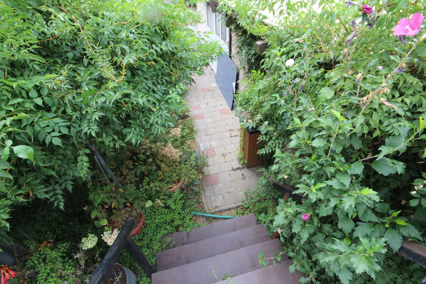 Ideala pentru diferite activitati - Poză 23