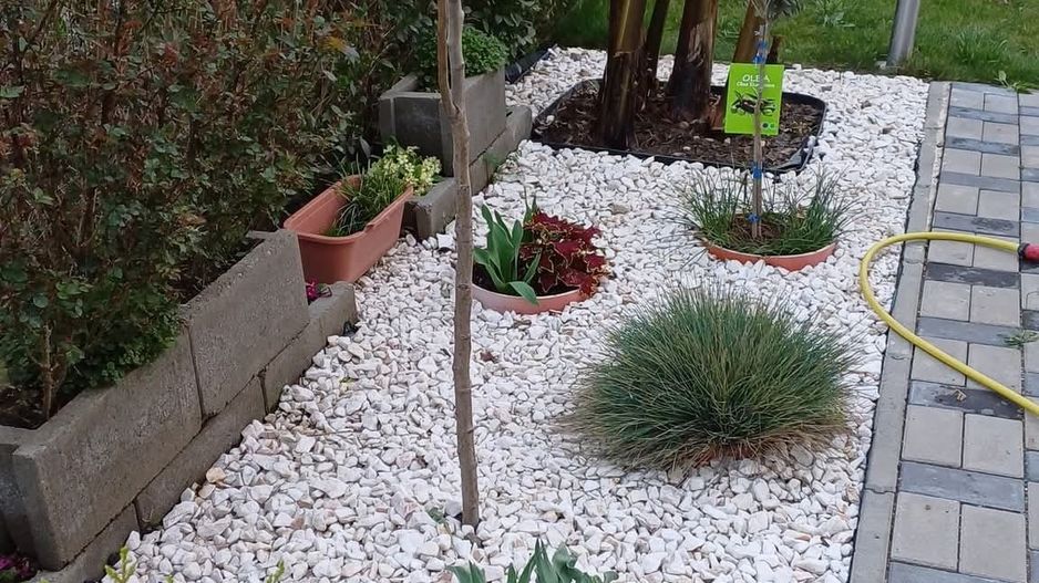 Comision 0% Duplex – Dumbrăvița 94 mp utili | teren 300 mp | - Poză 4