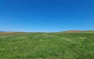 Teren 1500mp intravilan, Oarda De Sus - Poză 3