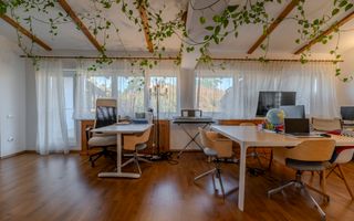 De Vânzare Vila Superba la liziera parcului Sub Arini - Poză 14