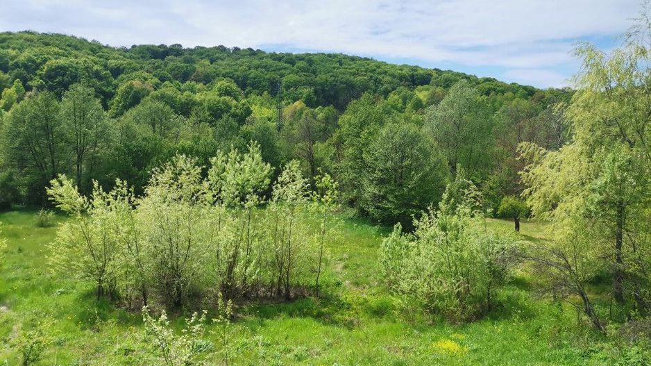Vanzare casa Cotmeana, stradal - Poză 3