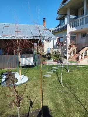 Apartament la parter, casa cu etaj, Mogosesti - Iasi, 10 km, 4 camere, 220 mp, 155.000 RON - Poză 3