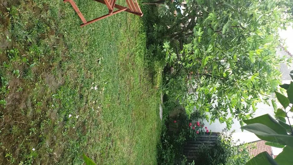 De vanzare casa tip S+P+1 - Poză 4