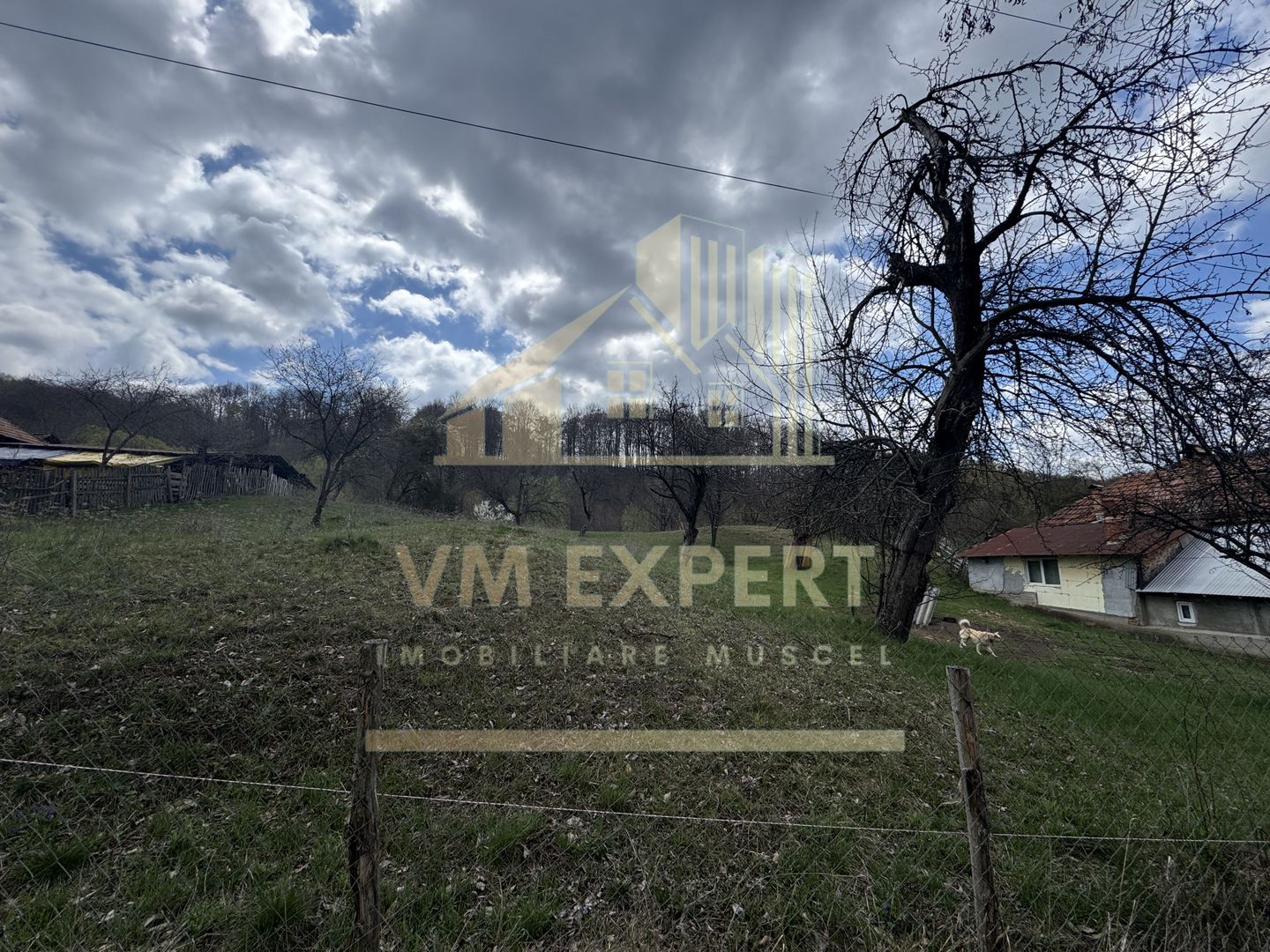 TEREN INTRAVILAN 4365 MP POENARII DE MUȘCEL  JUDEȚUL ARGES - Poză 5