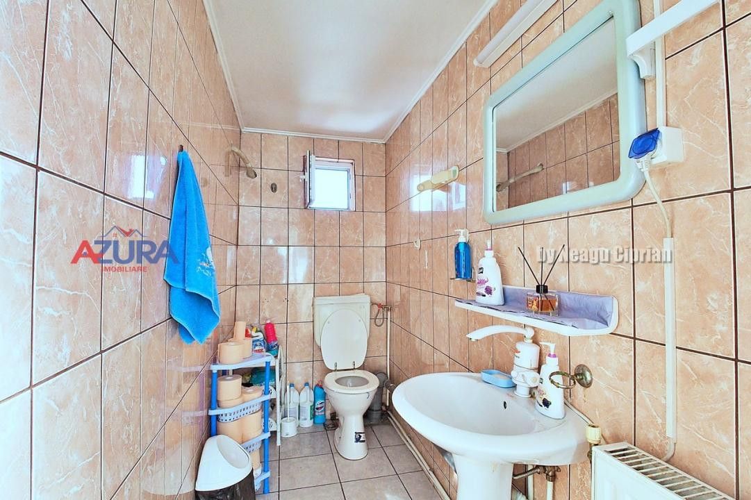 Vanzare Spatiu Logistic - Poză 33