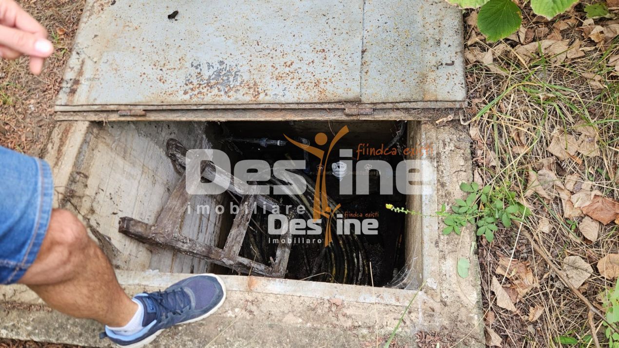 Tomesti-Chicerea, teren intravilan  3523 mp - Poză 3