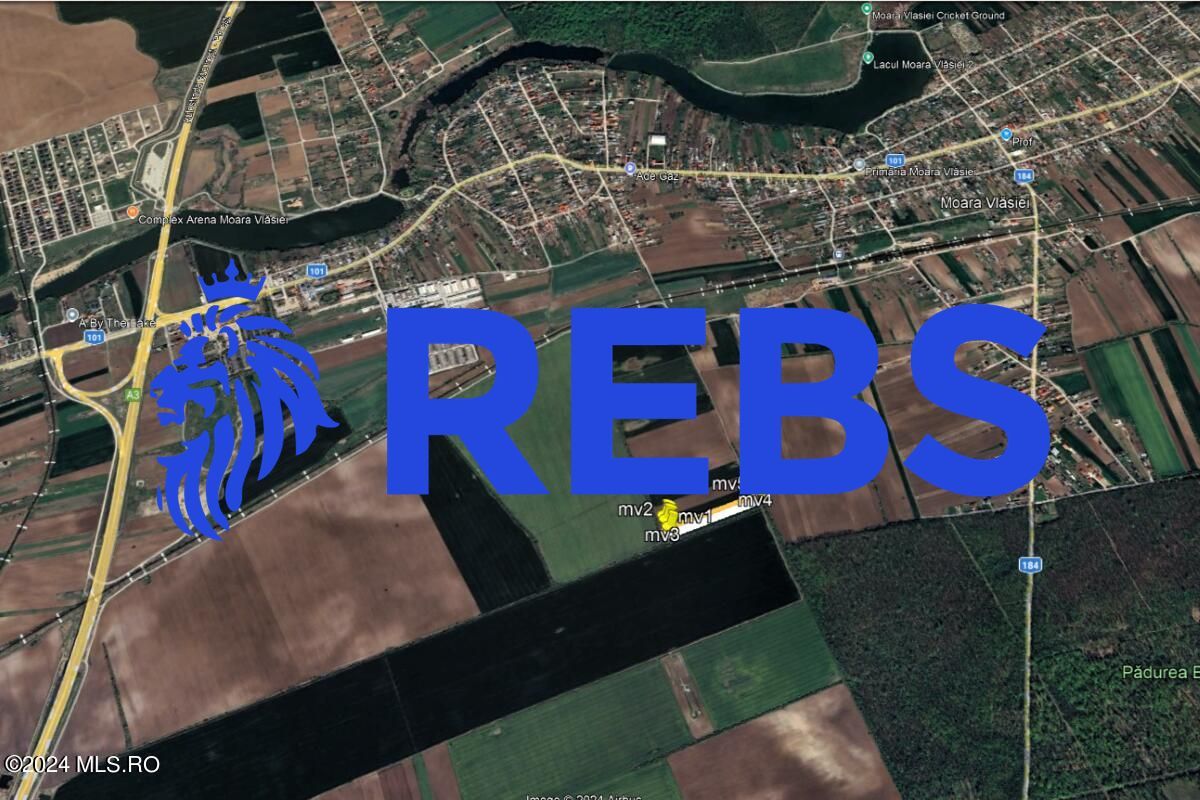 Moara Vlasiei - langa Padurea Biglaru, 11.884 mp, deschidere 40 ml - Poză 14