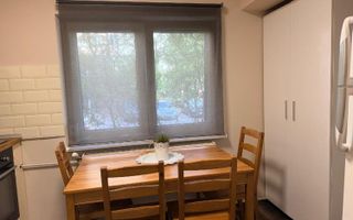 Închiriere Garsonieră Renovata, Piata Muncii - Decebal, Preț Negociabil! - Poză 9