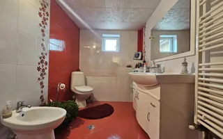 Casa individuala | 238 mp | 6 camere | Cetate - Poză 13