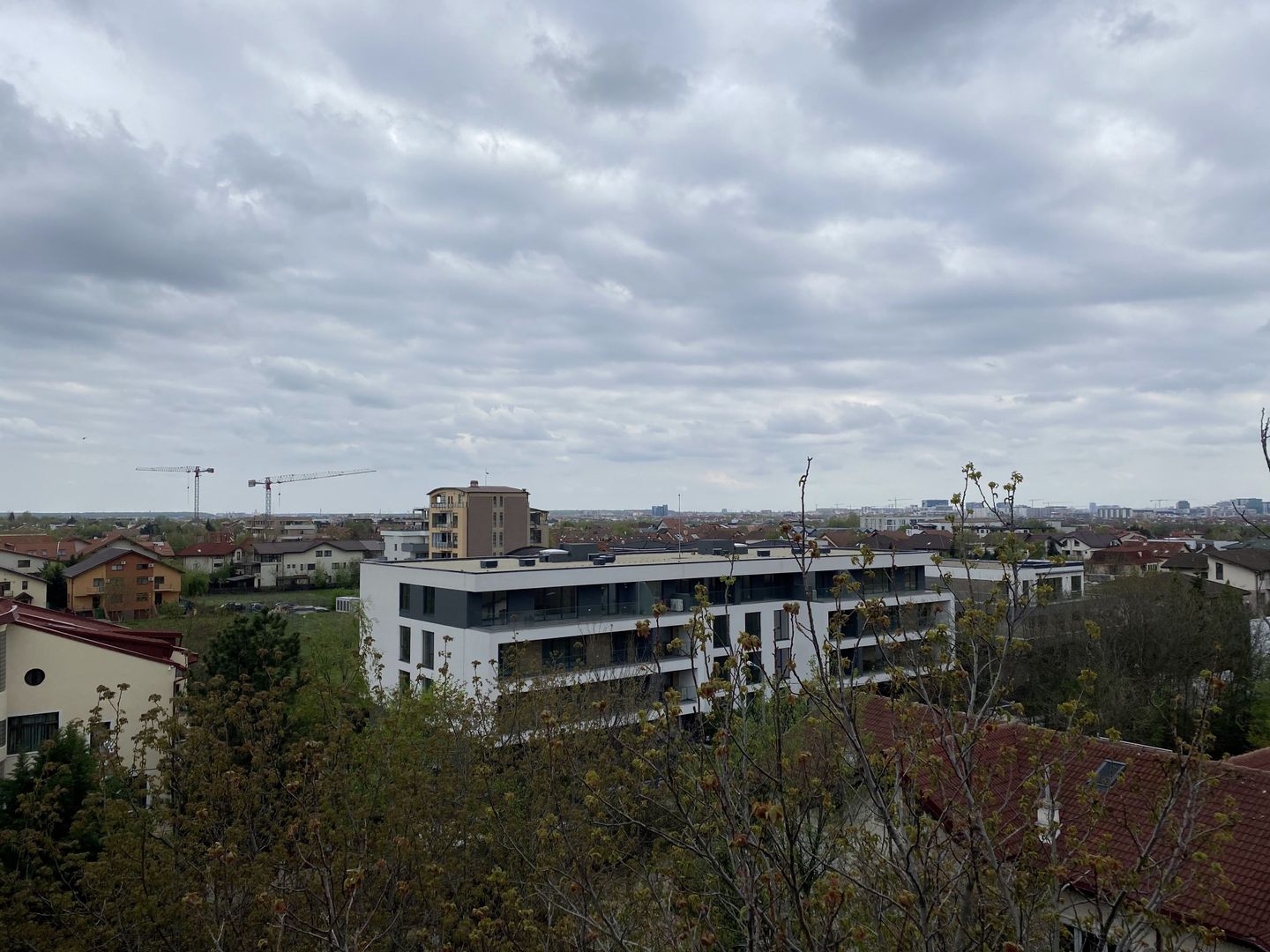 Studio  cochet Erou Iancu Nicolae  - Zoo.  Comision 0% - Poză 14