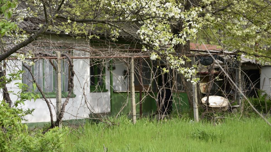 CASĂ TRADIȚIONALĂ CU GRĂDINĂ GENEROASĂ ȘI VIE – ISACCEA, JUD. TULCEA - Poză 1