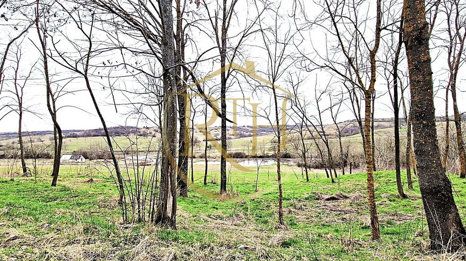 Terenuri extravilane de vânzare – Vizma & Crivobara, comuna Secaș, jud. Timiș - Poză 8