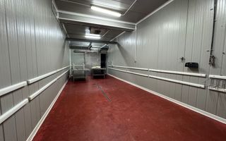 Hala pentru depozitare si distributie | Dumbravita - Poză 3