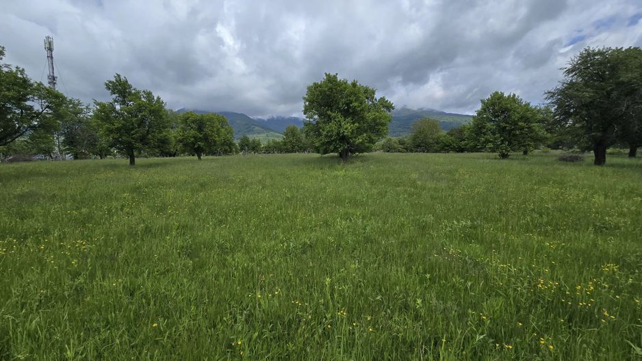 teren intravilan - 2 minute de centru Prundu Bargaului - 26 parcele - Poză 2