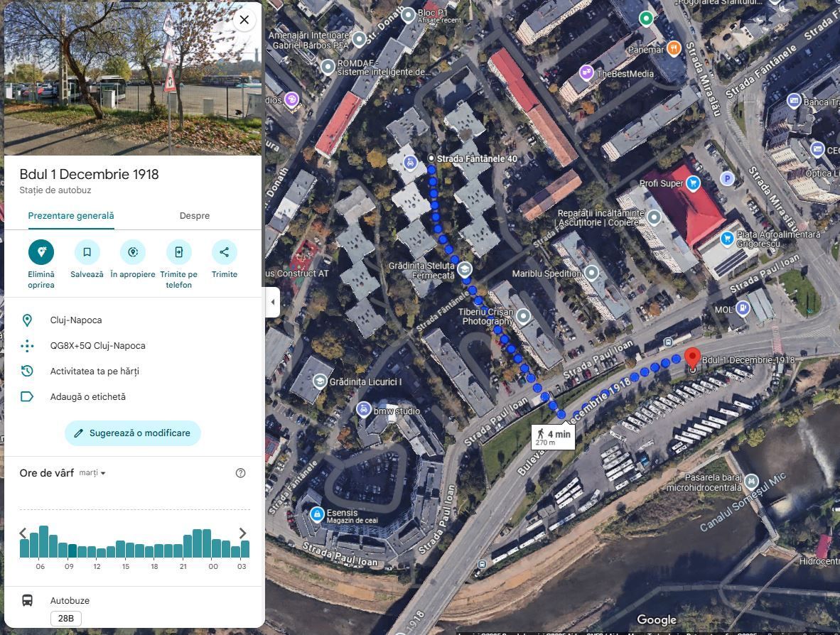 | Apartament cu 3 camere de vanzare | Cartierul Grigorescu | Etaj 2| Decomantat| - Poză 11