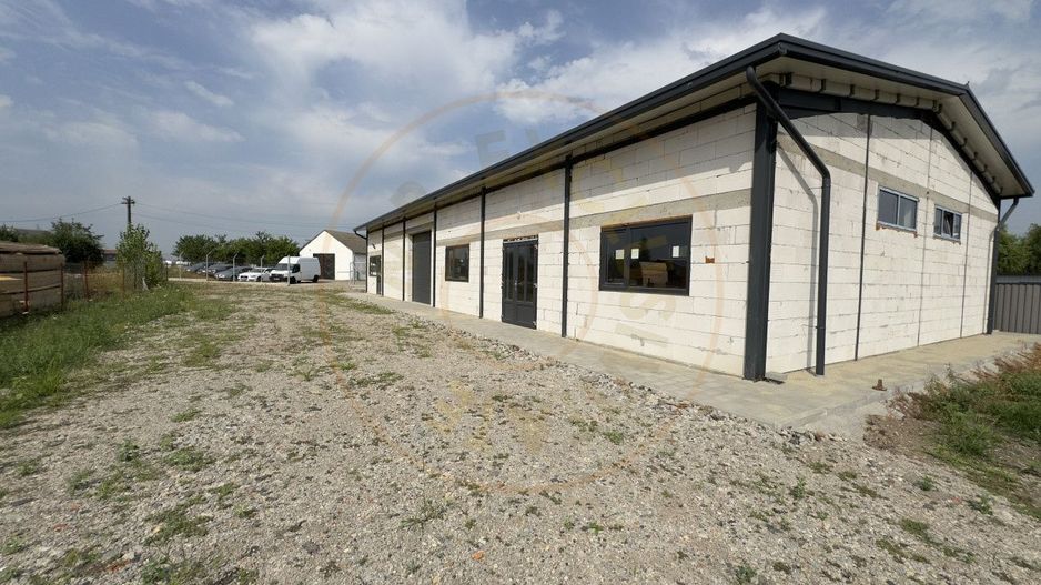Inchiriere Hală Producție/Depozitare 300 mp, Teren 1791 mp - Carei - Poză 3