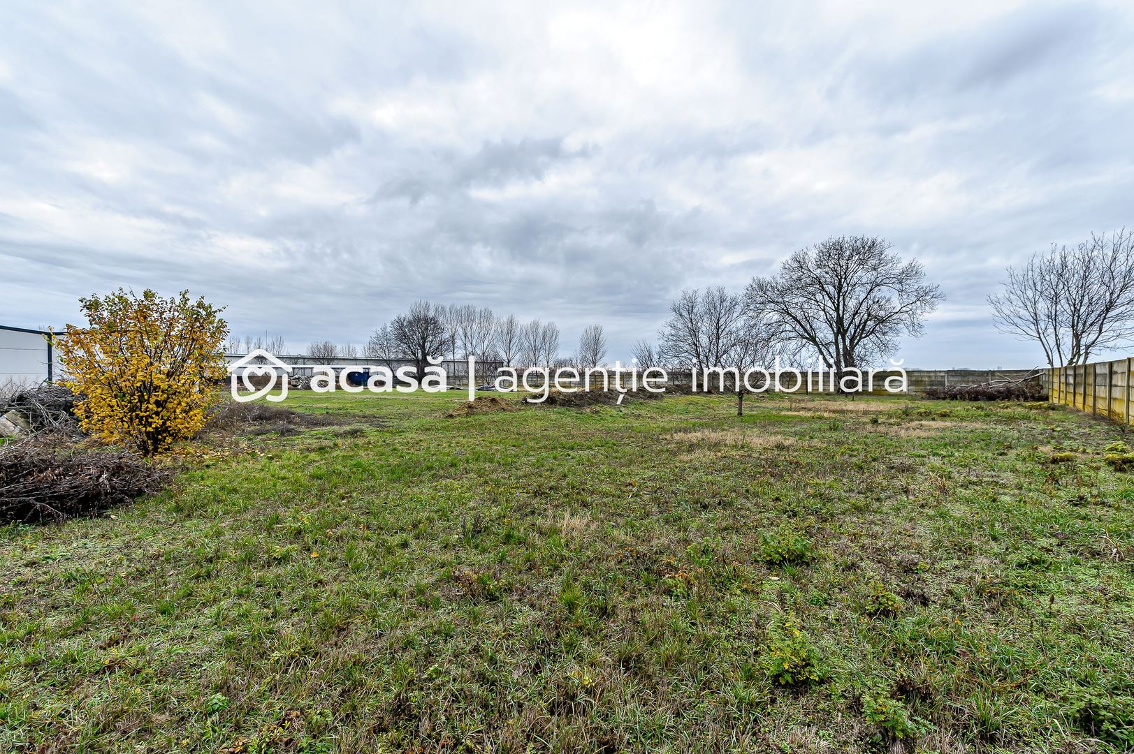 Hale depozitare/producție 2.000 mp si 10.000 mp teren în Pecica - Poză 14