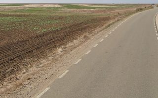 Teren 13700 mp Extravilan Livada de Bihor - Poză 3