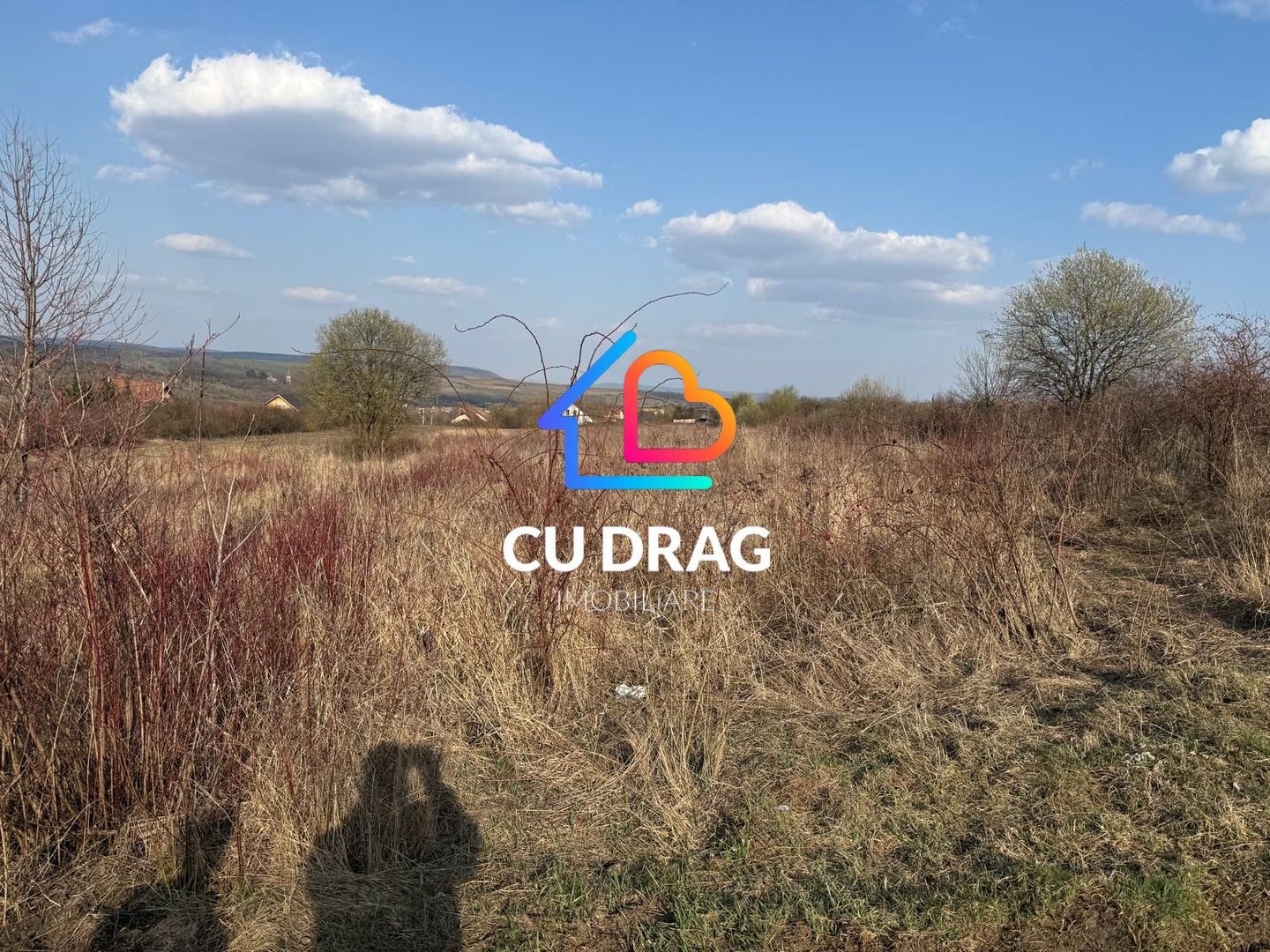 Teren intravilan cu toate utilitatile si drum amenajat Daia - Poză 3