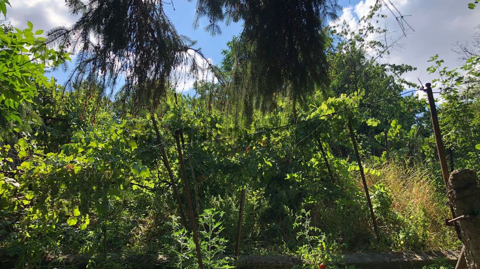 Casa  de renovat  str.Colinelor - Poză 14