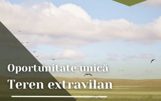 Oportunitate unica! Teren extravilan, 9999 mp, Pecica - Poză 1