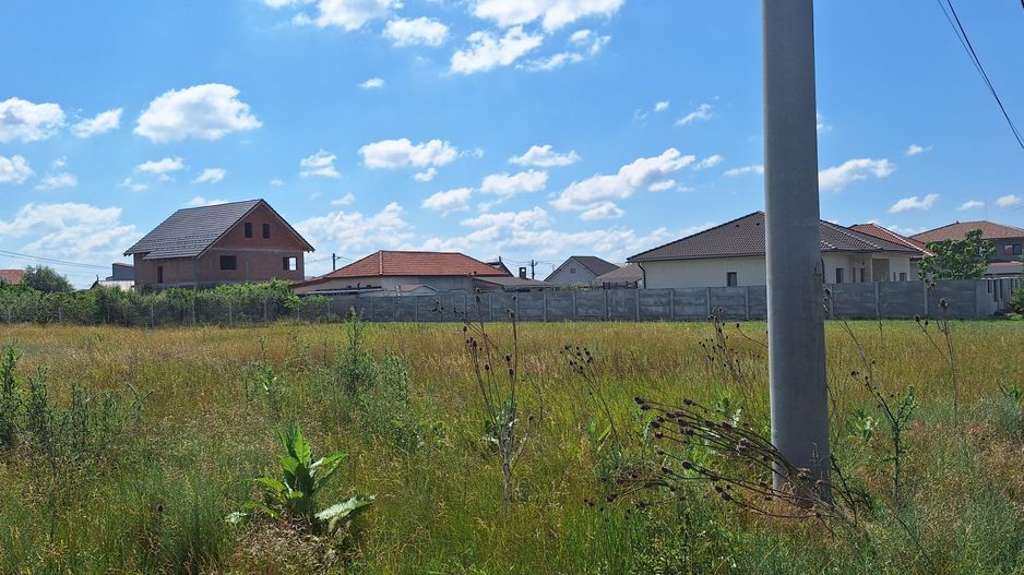 Teren in Sacalaz, locuinta individuala/duplex - Poză 5