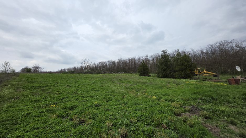 Balta pescuit, peisaj de vis,  padure-lac, investitie garantata - Poză 5