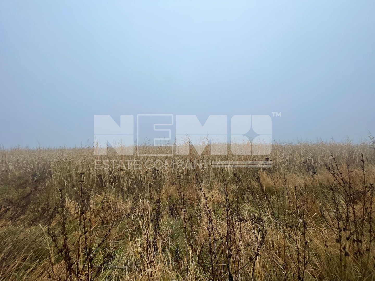 TEREN EXTRAVILAN | DOUA PARCELE| 70 ARI| IDEAL AGRICOL| CALAFINDESTI - Poză 6