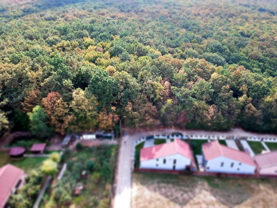 Ocazie!! Vanzare teren - padure, toate utilitatile, Balotesti - Poză 6