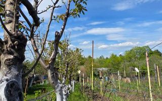 Teren intravilan 1500 mp, Tomesti – Chicerea, 10 km de Iasi, utilitati la limita - Poză 6