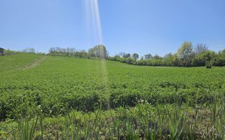 Vanzare teren intravilan, Calinesti, toate utilitatile - Poză 5