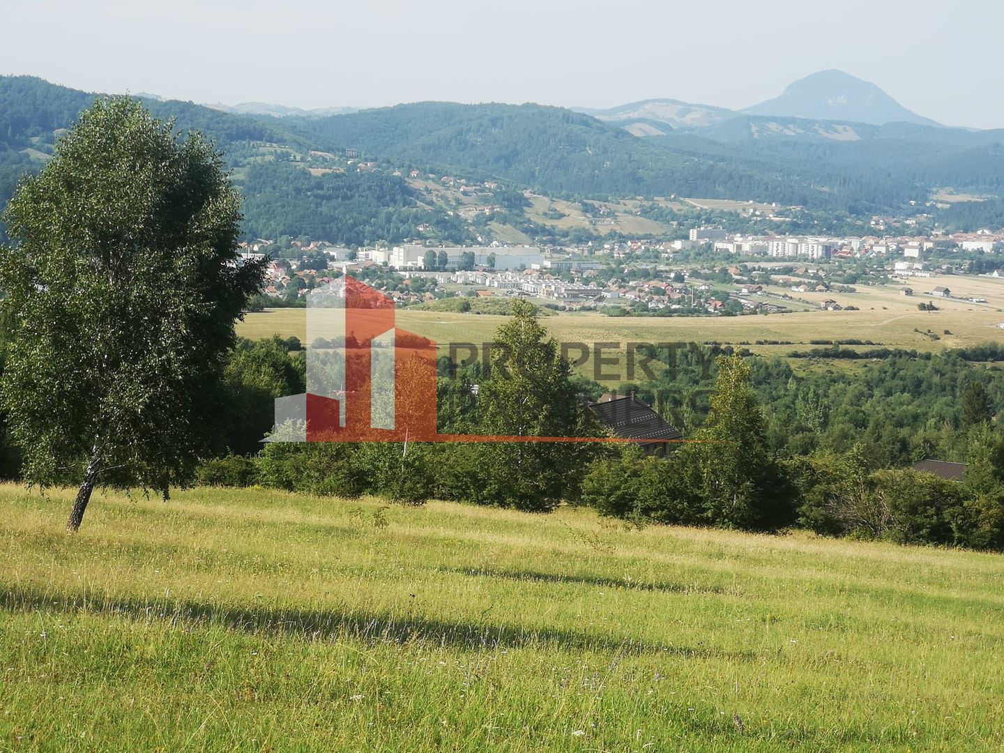 Teren Intravilan 1.500 mp | Vedere Panoramică| Tohanita - Poză 7