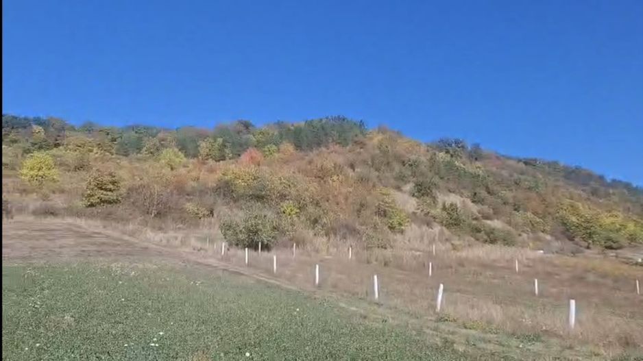 Teren de vanzare in Corunca –5.000 mp /55.000 EUR - Poză 2