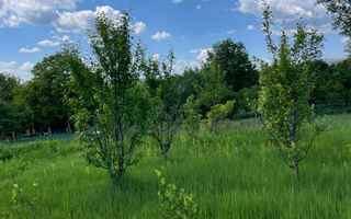 Casa in Comuna Geaca - Poză 16