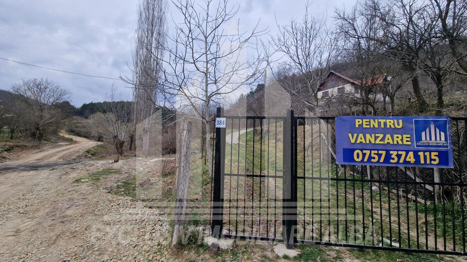 Casa individuala | 120 mp | 1342 mp teren | Livada | Cetea - Poză 14