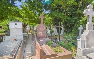 Loc de veci / 3 spatii / Reinvierea Colentina - Poză 1