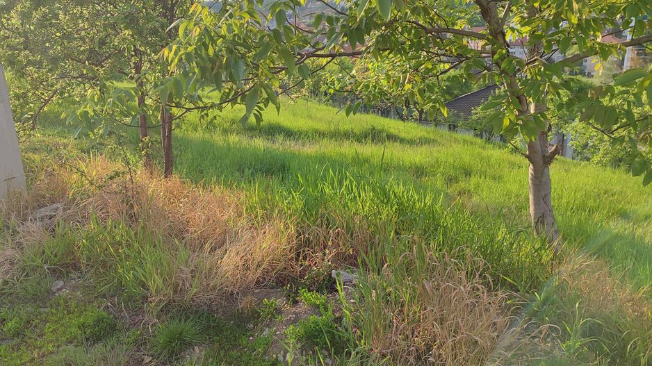 teren Spitalul Judetean - Poză 6